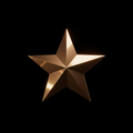 Bronze Star